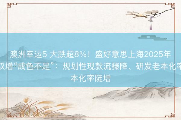 澳洲幸運5 大跌超8%！盛好意思上海2025年牟利雙增“成色不足”：規劃性現款流驟降、研發老本化率陡增